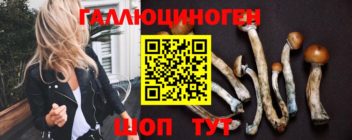 Выкса  Псилоцибиновые грибы Psilocybe  Псилоцибиновые грибы мицелий  Вход с VPN 