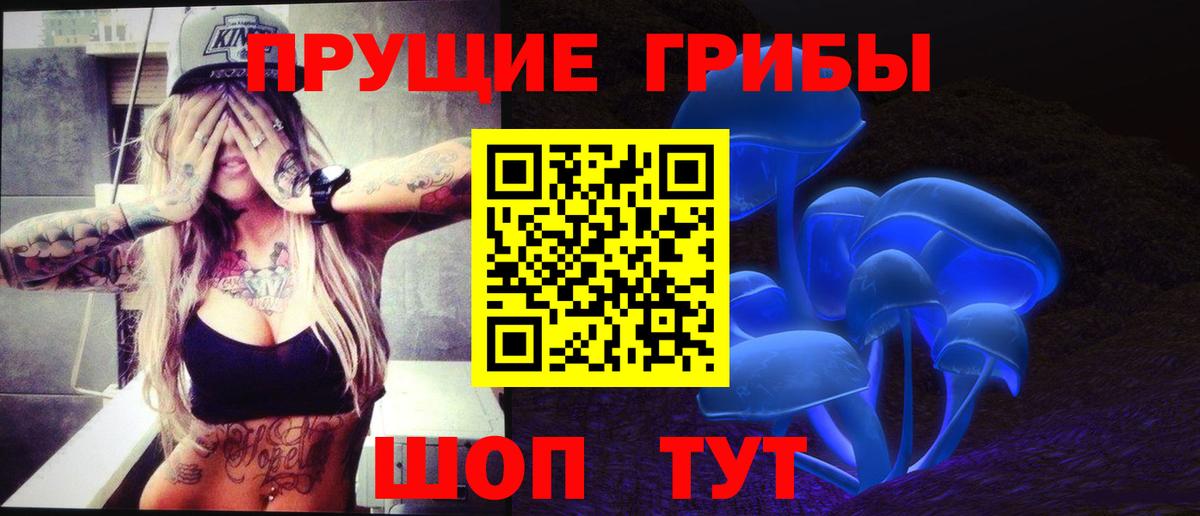 Псилоцибиновые грибы мицелий Выкса